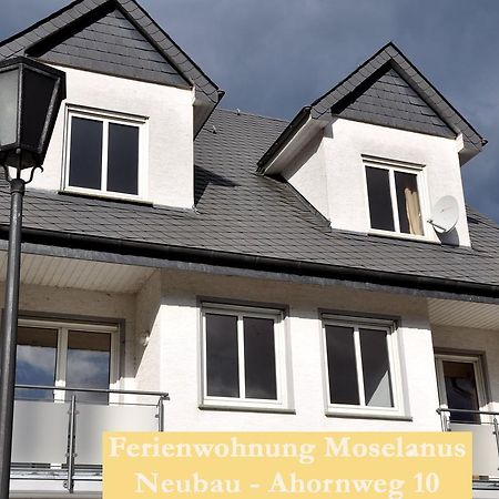 Ferienwohnungen Ferienland Cochem Bruttig-Fankel Kültér fotó