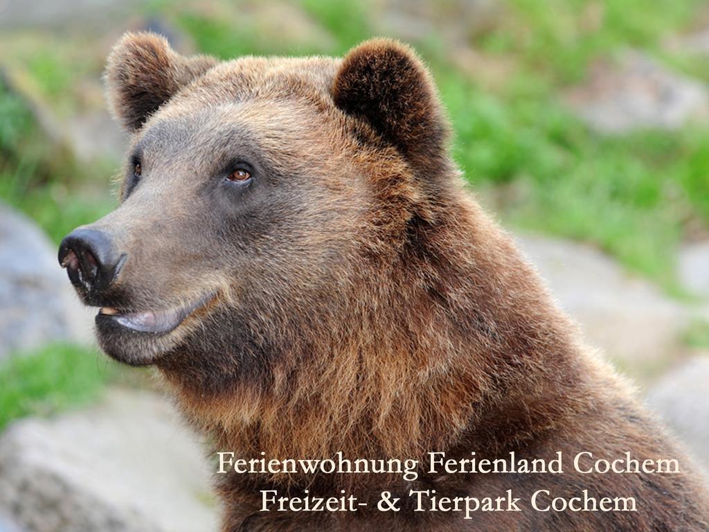 Ferienwohnungen Ferienland Cochem Bruttig-Fankel Kültér fotó