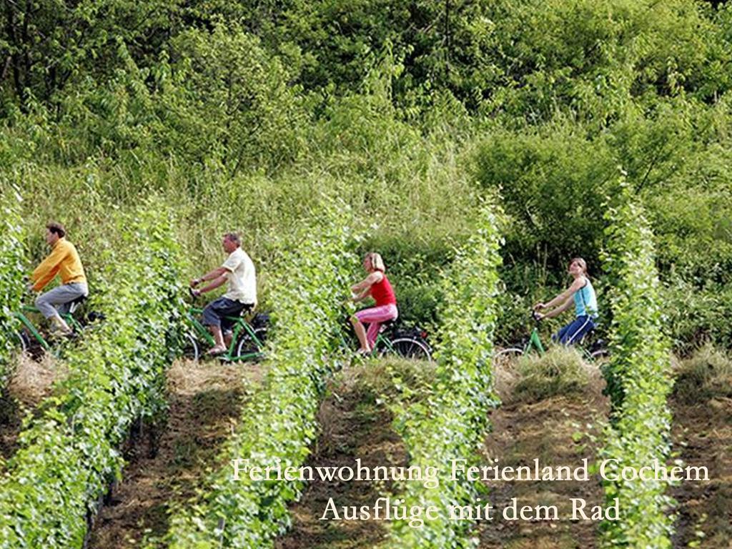 Ferienwohnungen Ferienland Cochem Bruttig-Fankel Kültér fotó