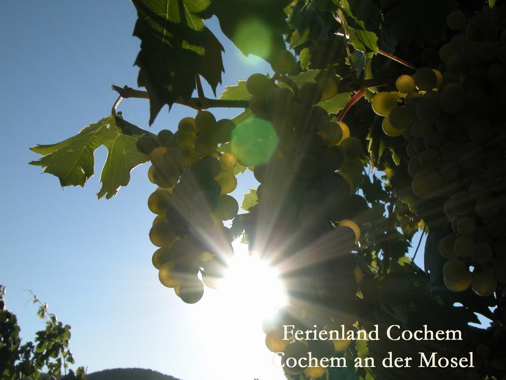 Ferienwohnungen Ferienland Cochem Bruttig-Fankel Kültér fotó